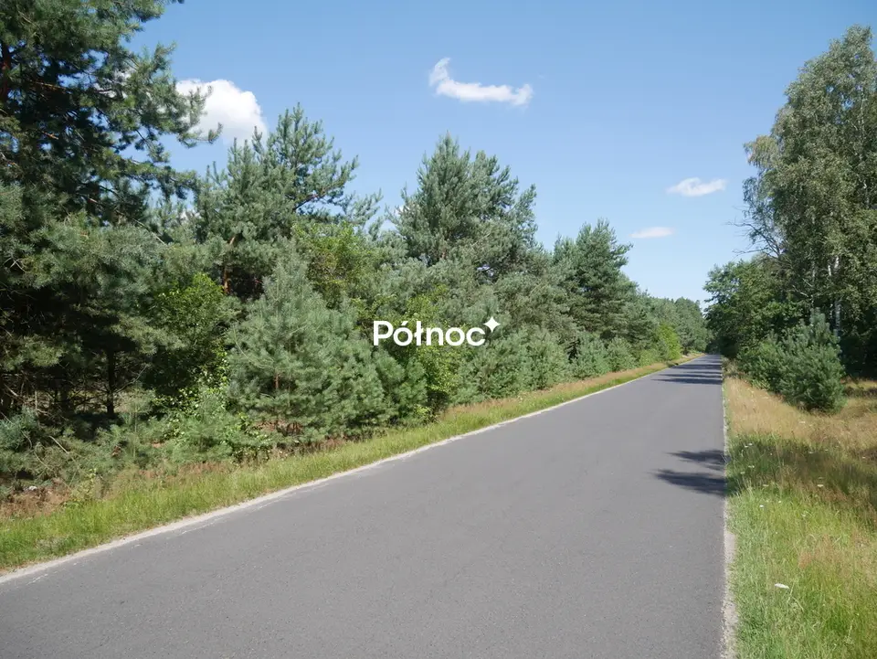 Zdjęcie 7