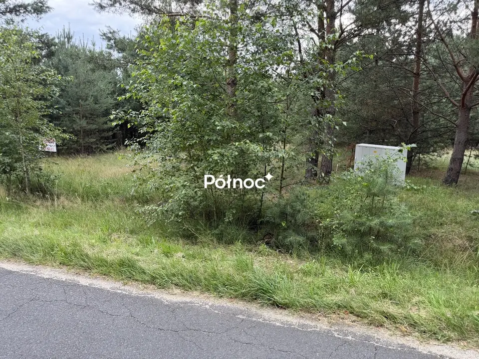 Zdjęcie 3