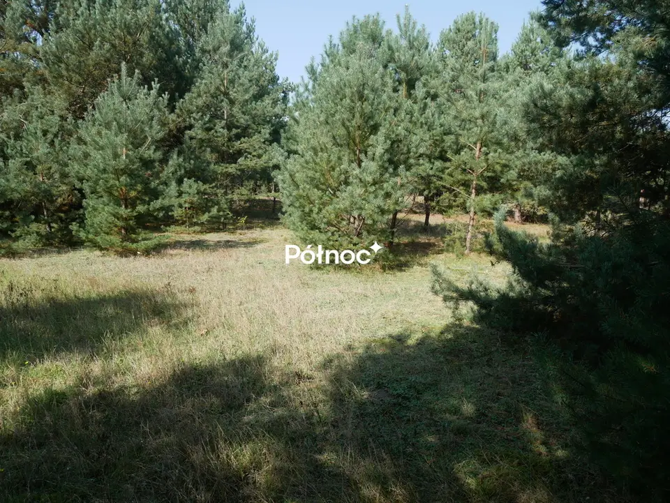 Zdjęcie 11
