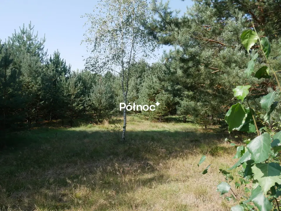Zdjęcie 3