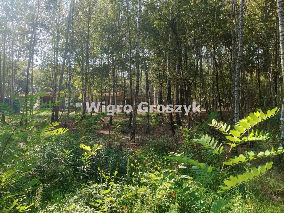 Zdjęcie 3