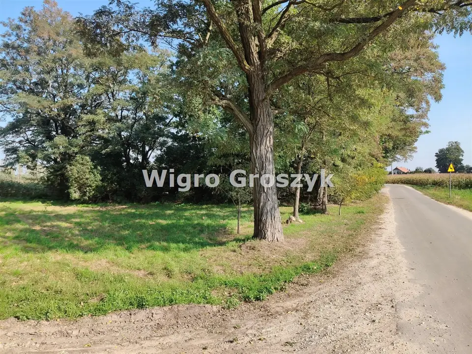 Zdjęcie 7