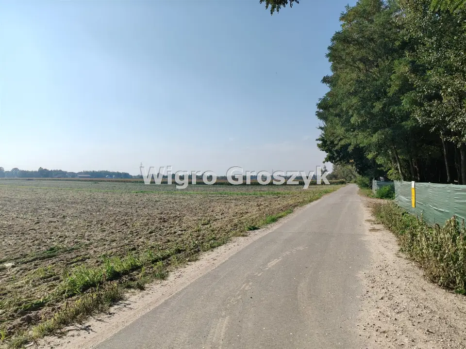 Zdjęcie 8