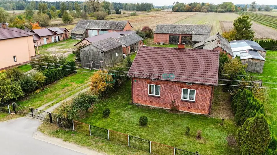 Zdjęcie 3
