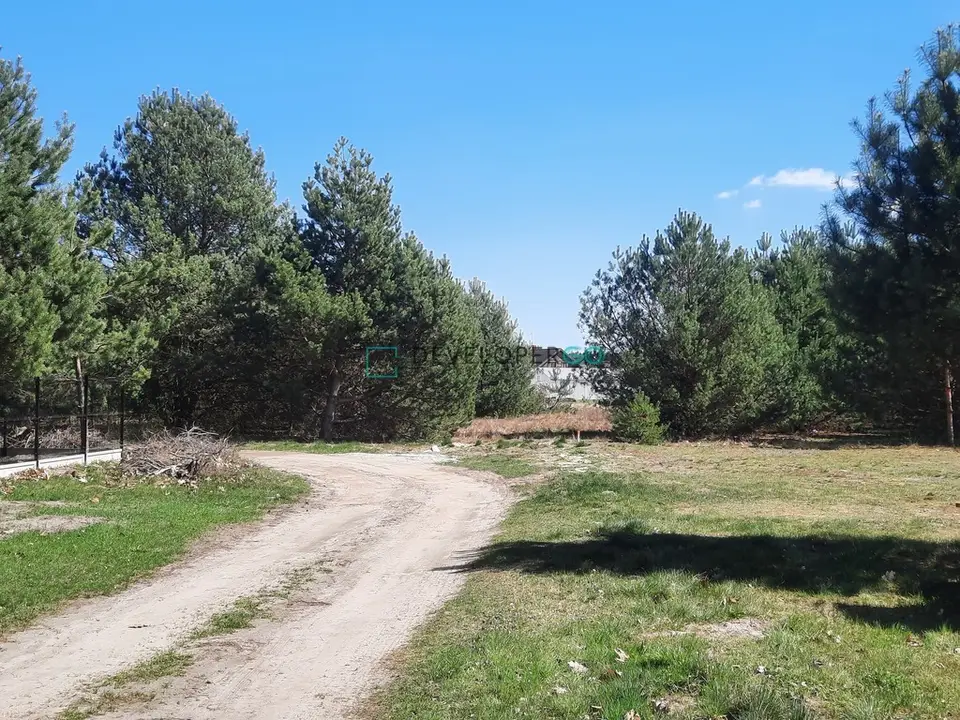 Zdjęcie 5