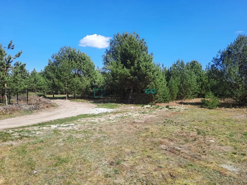 Zdjęcie 6