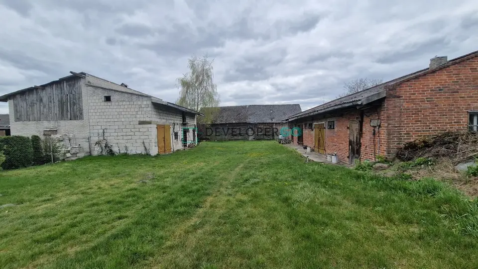 Zdjęcie 5