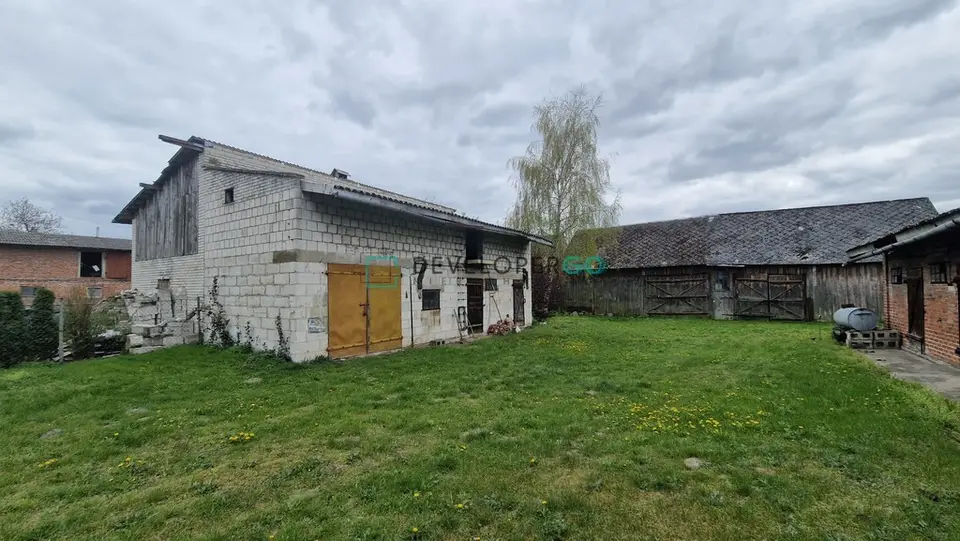 Zdjęcie 6