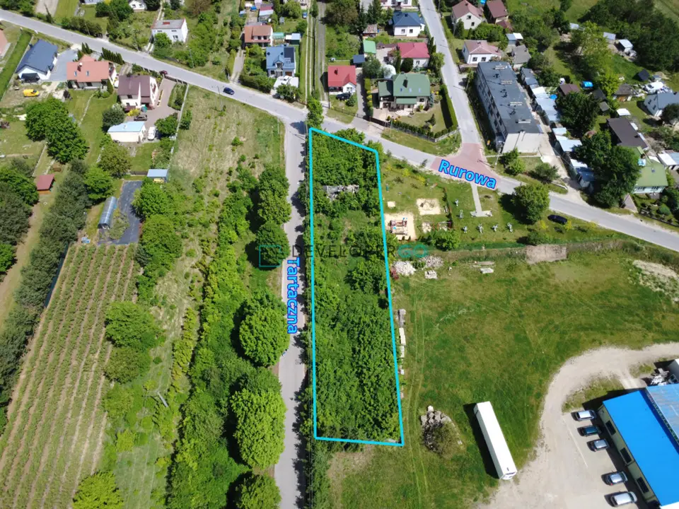 Zdjęcie 5