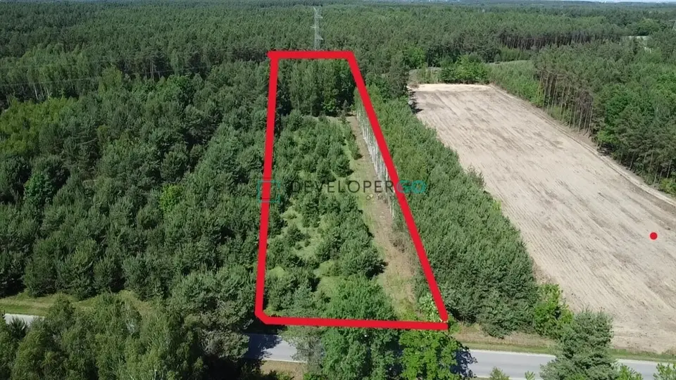 Działka siedliskowa 6 000 m², Dąbrówka-Ług