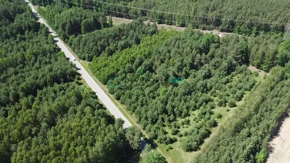 Zdjęcie 6