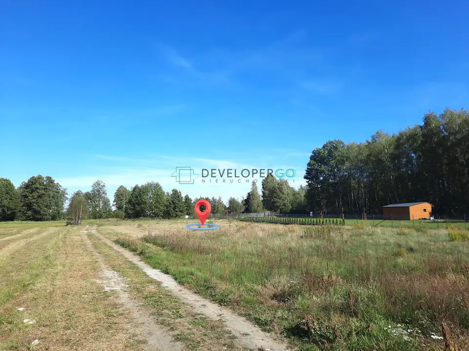Zdjęcie 8