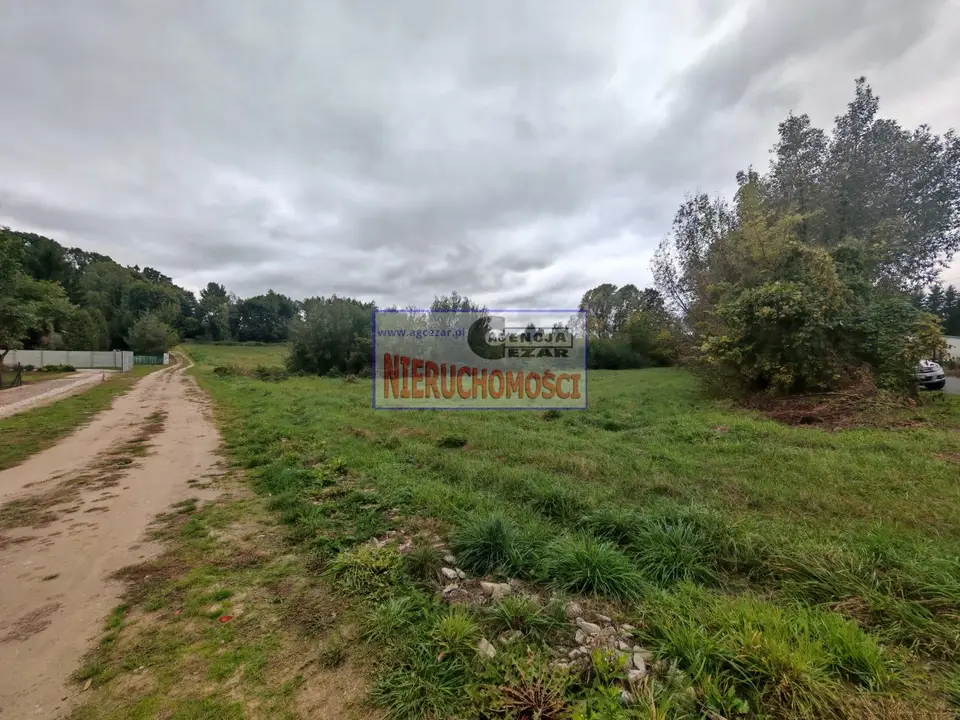 Zdjęcie 5