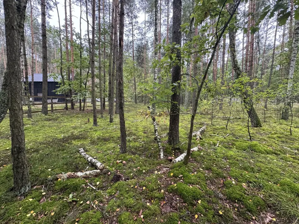 Działka budowlana 1 993 m², Nowy Adamów