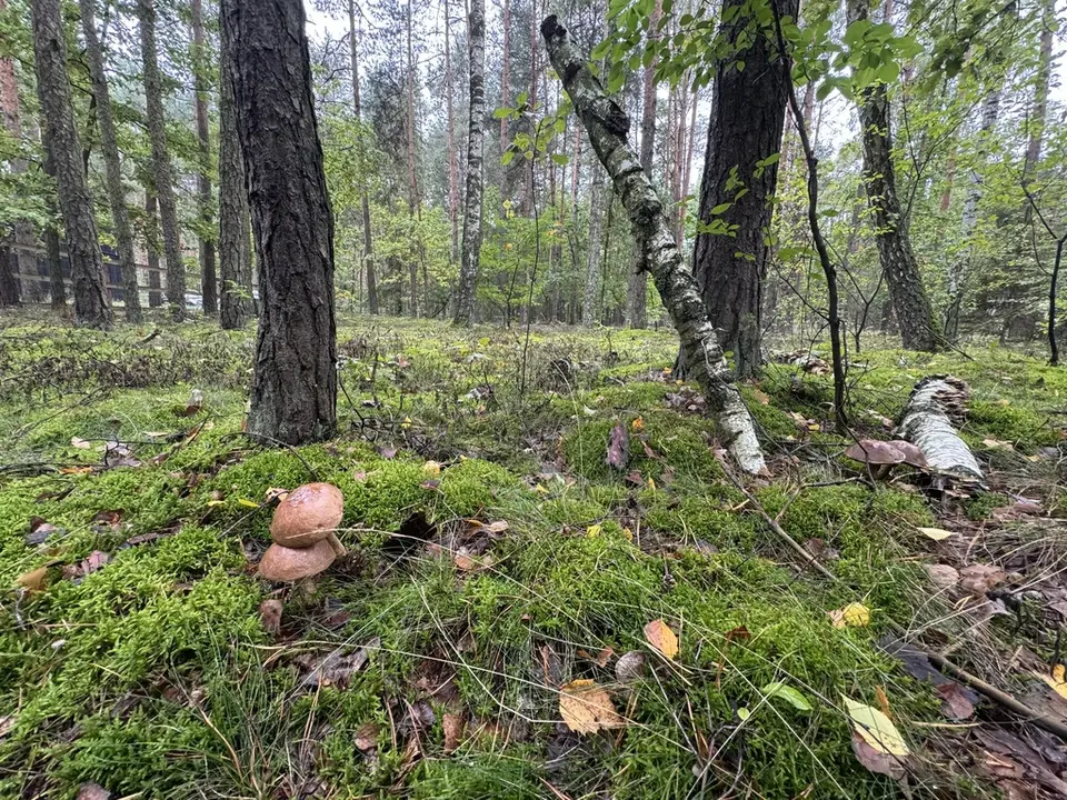 Zdjęcie 3