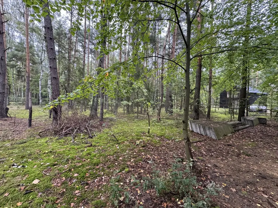 Zdjęcie 4