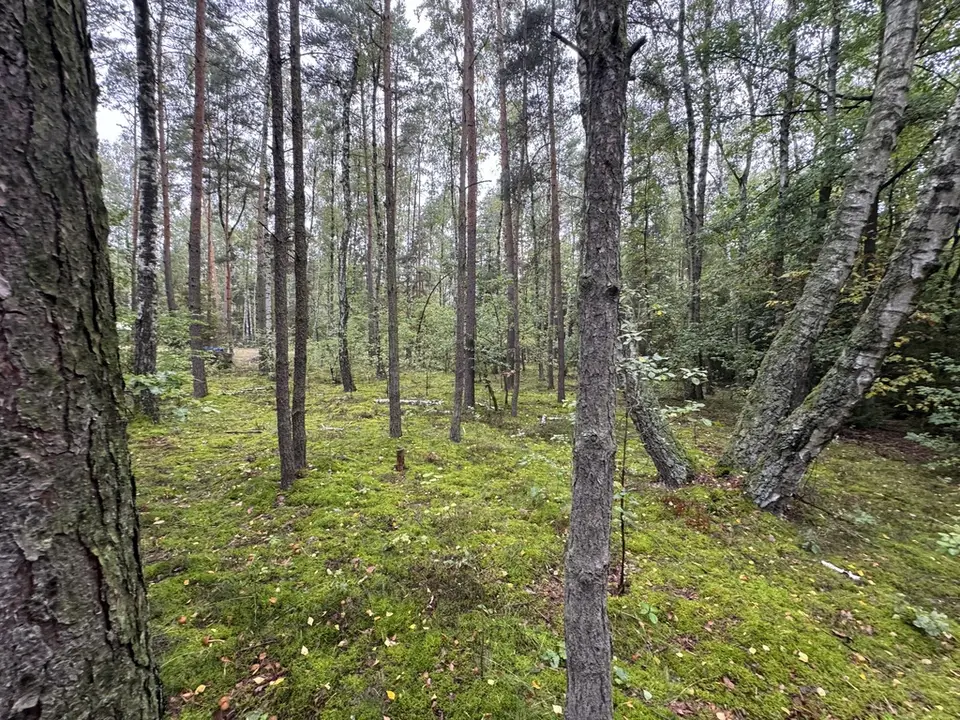Zdjęcie 14