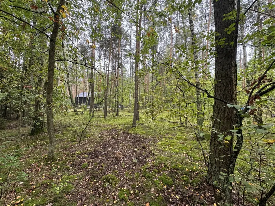 Zdjęcie 15