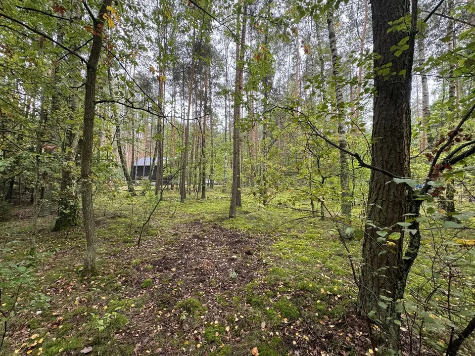 Zdjęcie 16