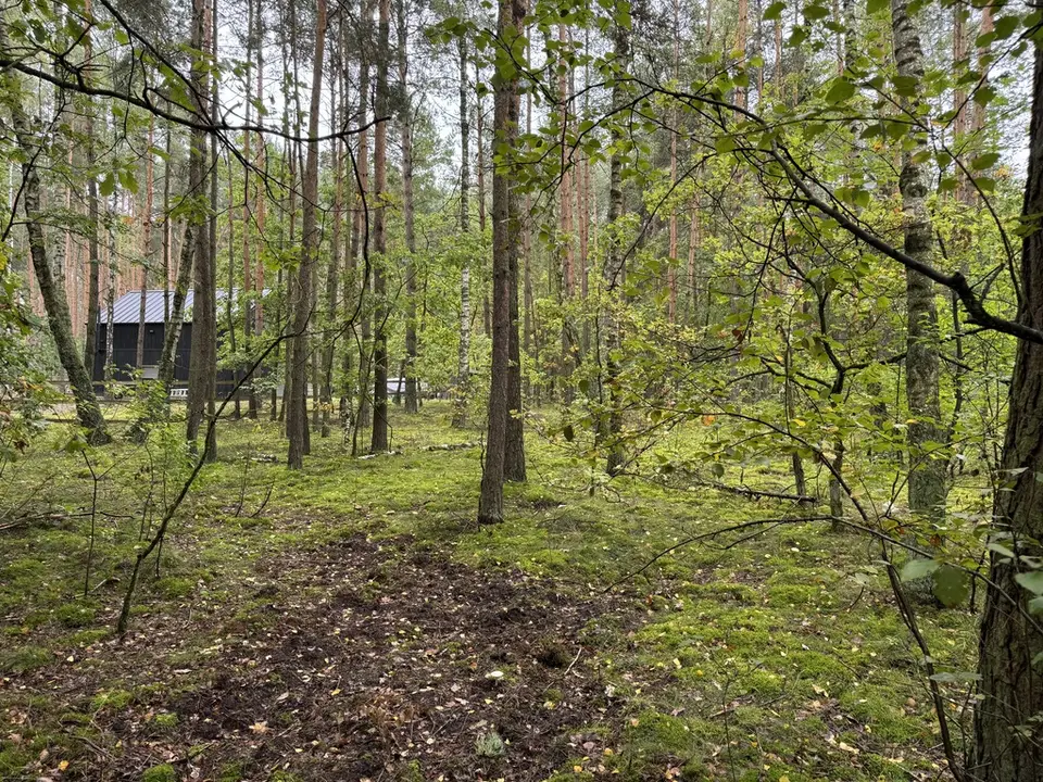 Zdjęcie 17