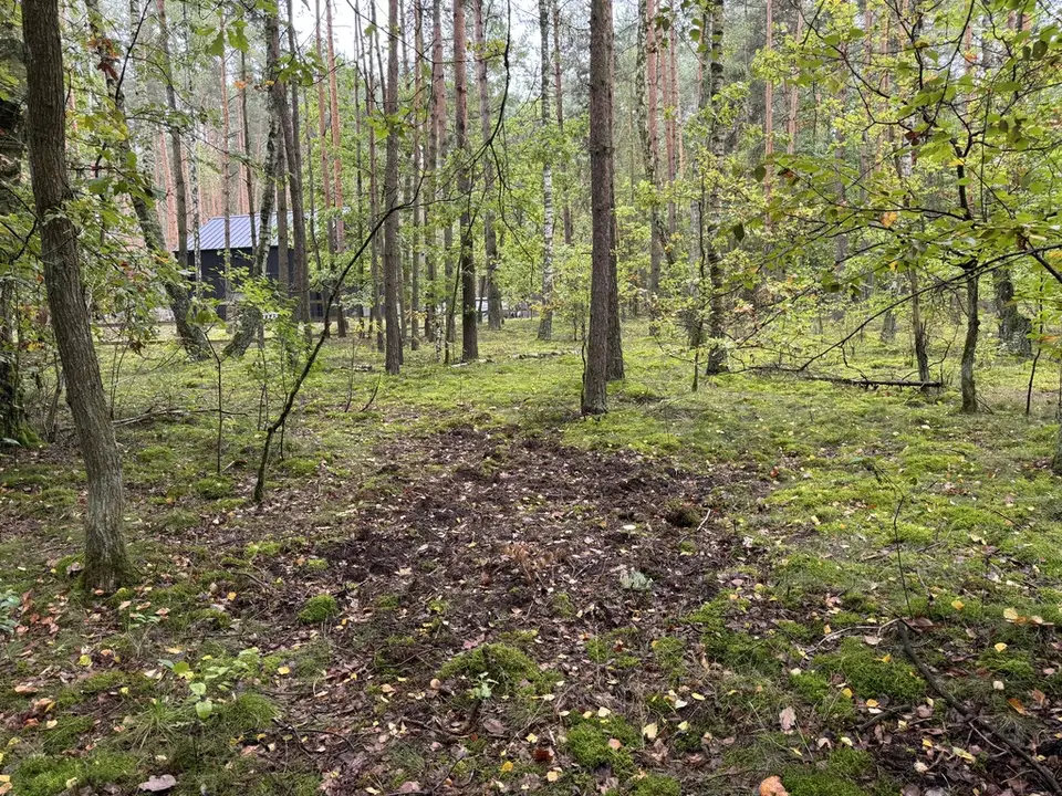 Zdjęcie 18