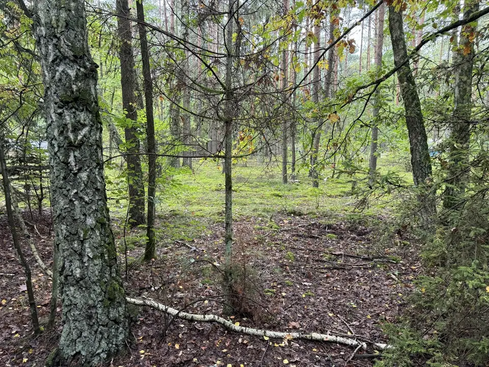 Zdjęcie 19