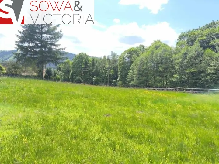 Zdjęcie 4