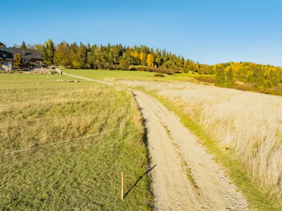 Zdjęcie 18