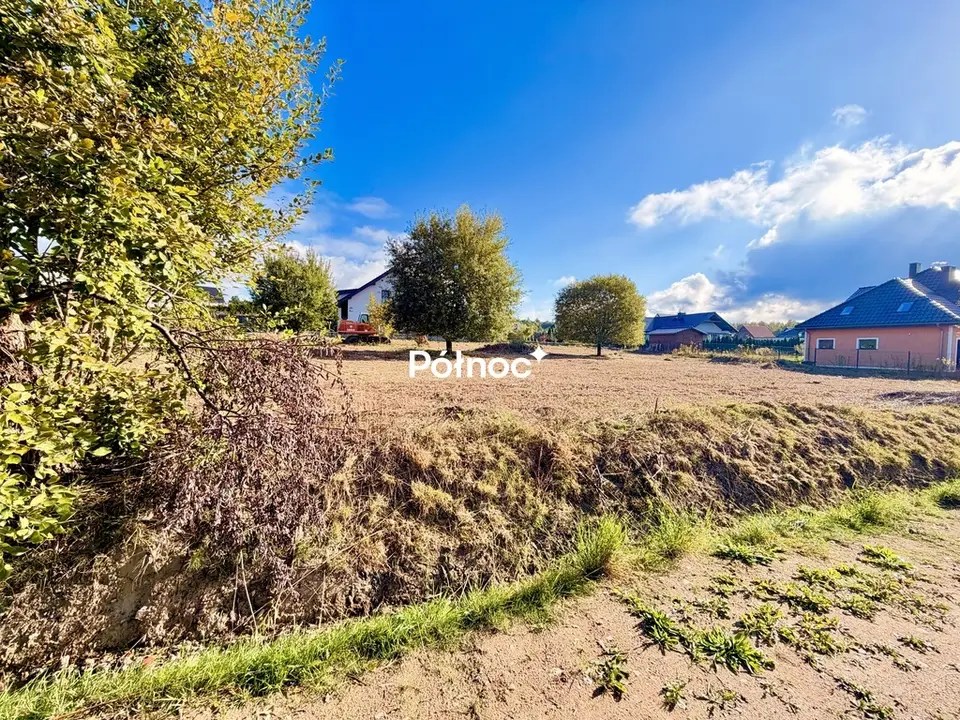 Zdjęcie 8