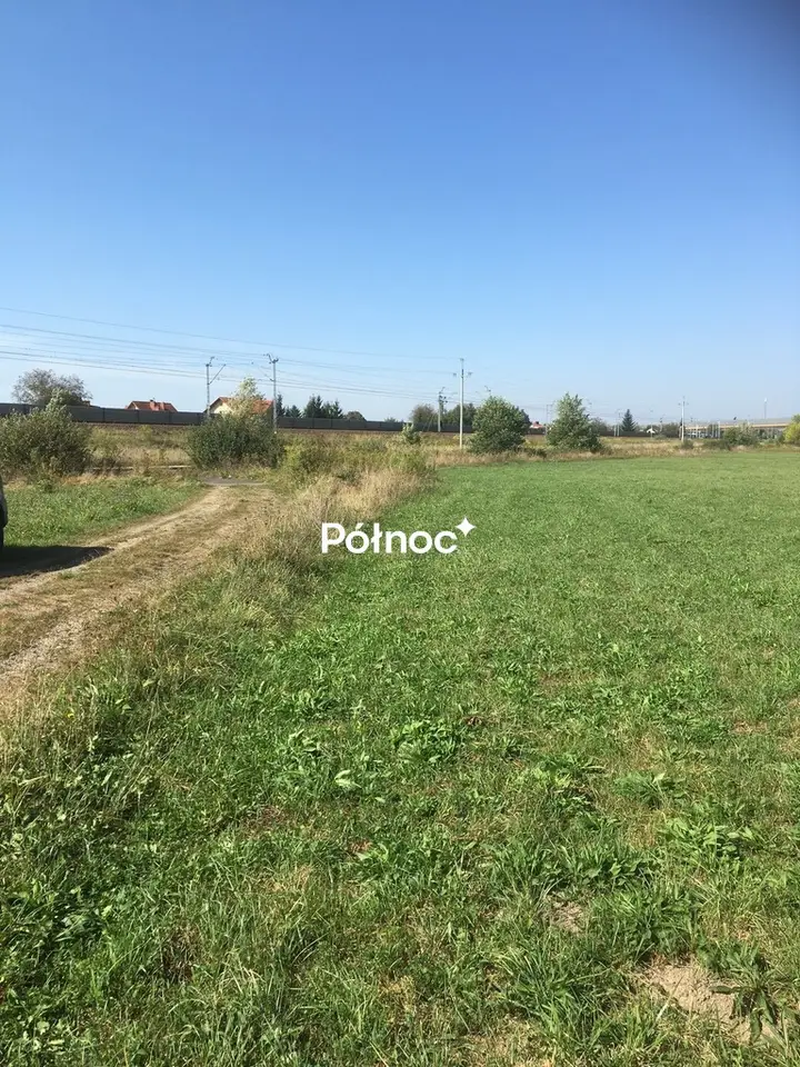Zdjęcie 2