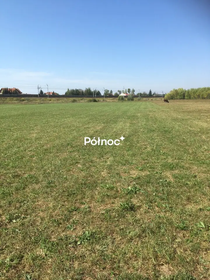 Zdjęcie 5