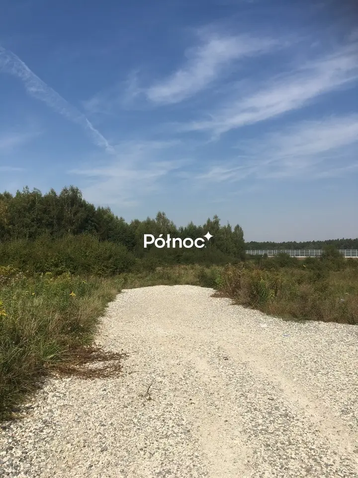 Zdjęcie 2