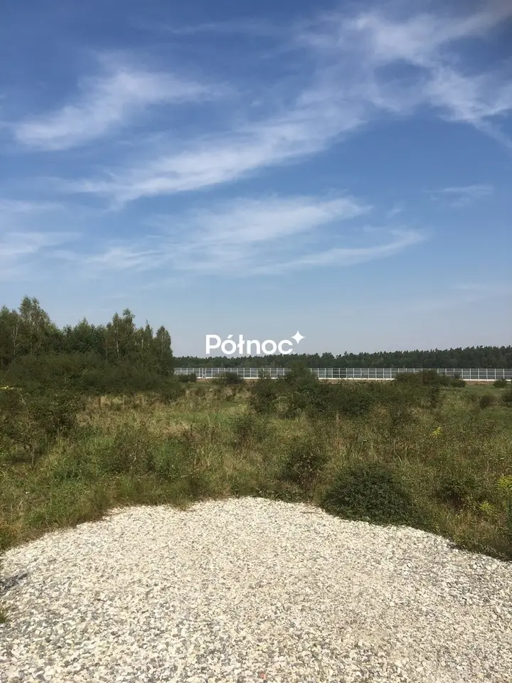 Zdjęcie 3