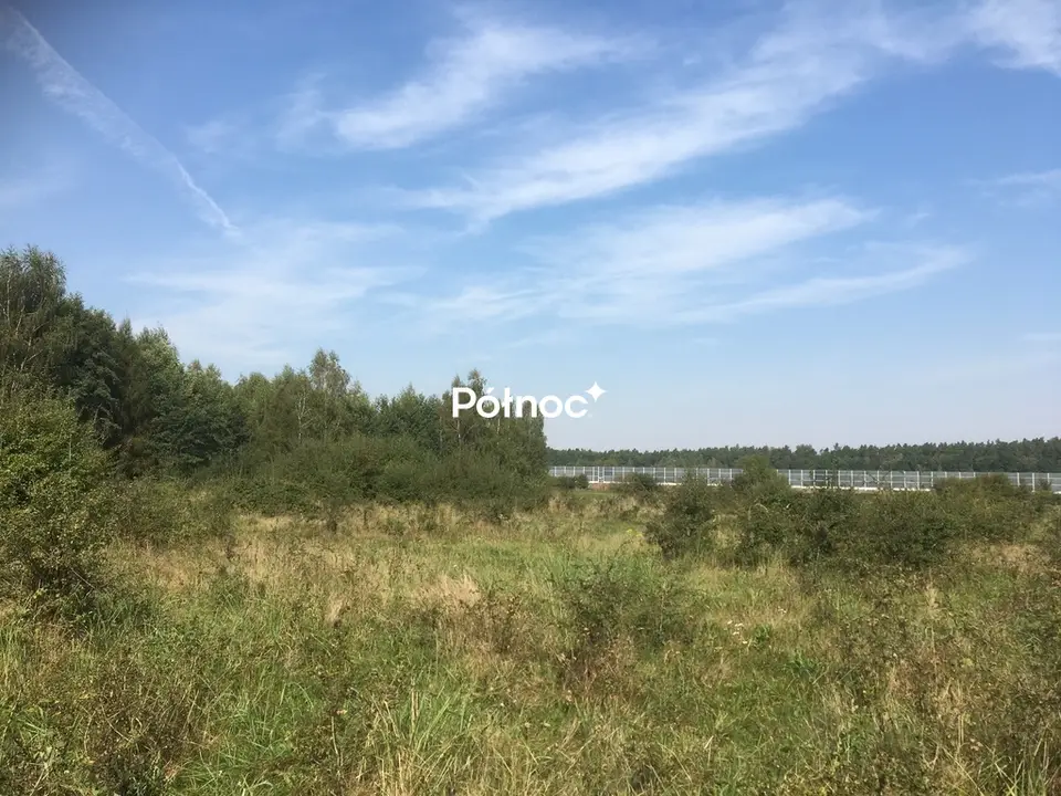 Zdjęcie 6
