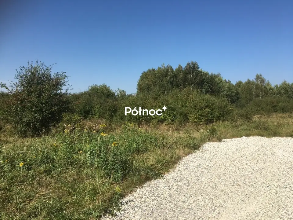Zdjęcie 3