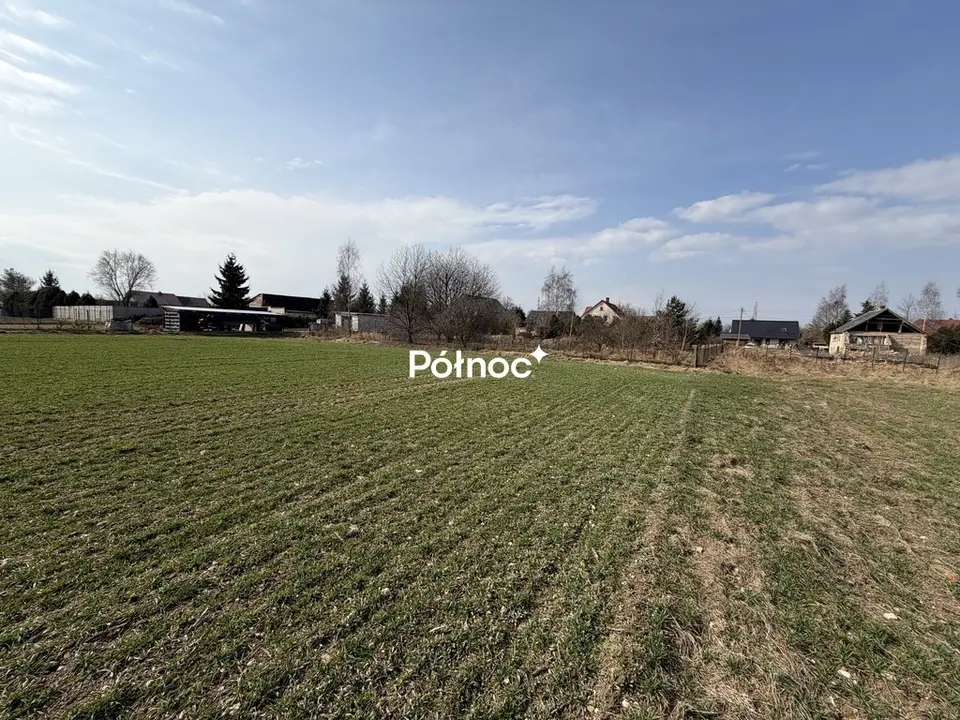 Zdjęcie 5
