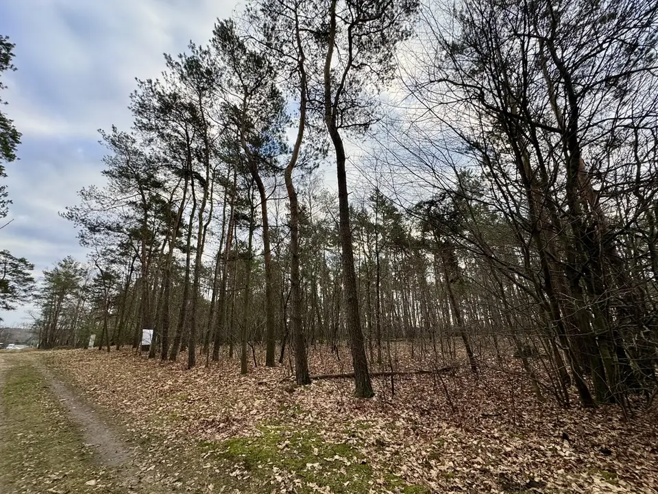 Zdjęcie 10
