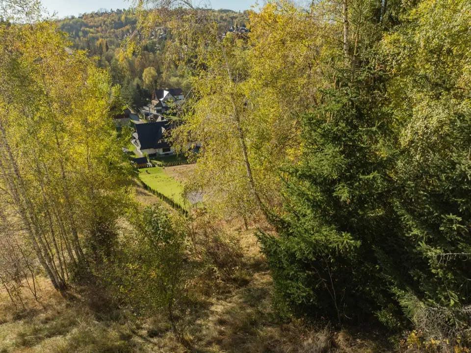 Zdjęcie 17