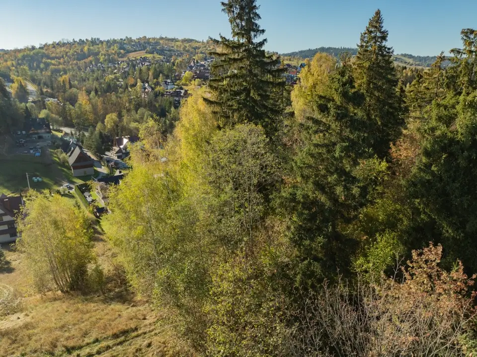Zdjęcie 18