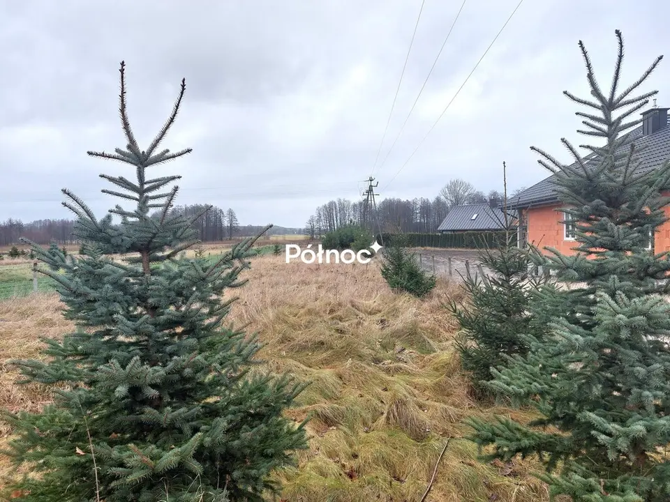 Zdjęcie 2