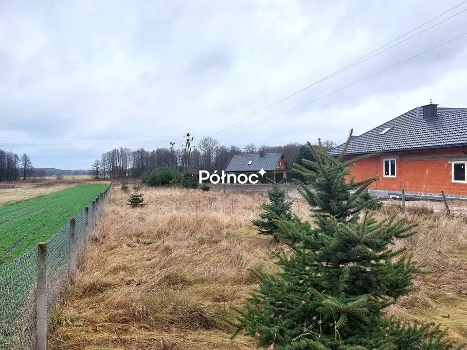 Zdjęcie 3