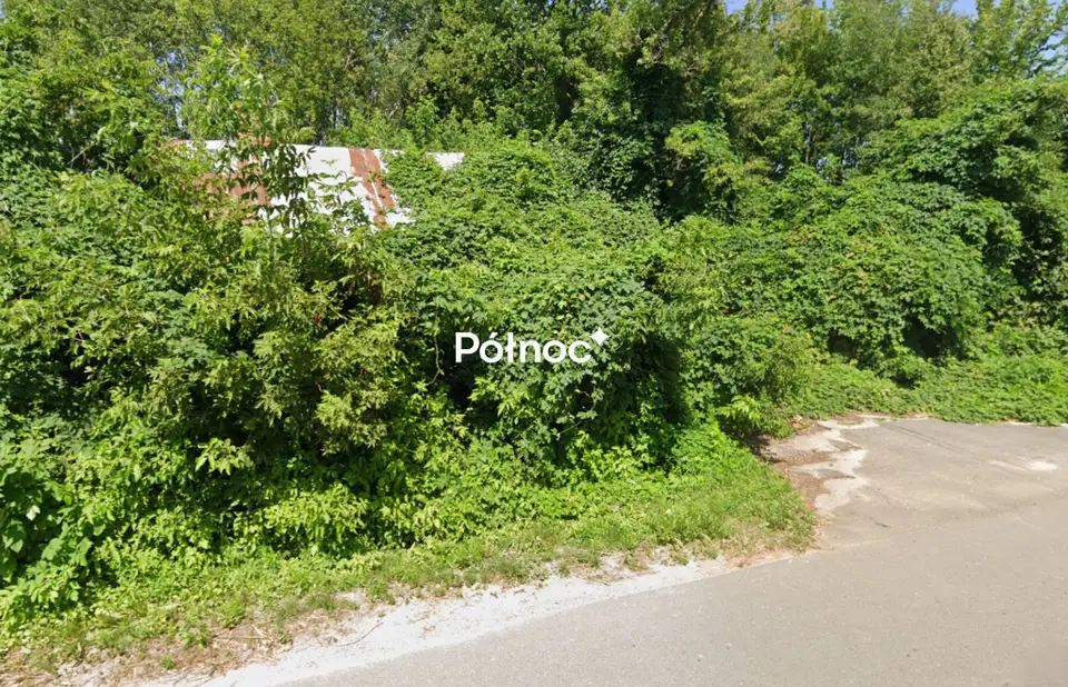 Zdjęcie 5