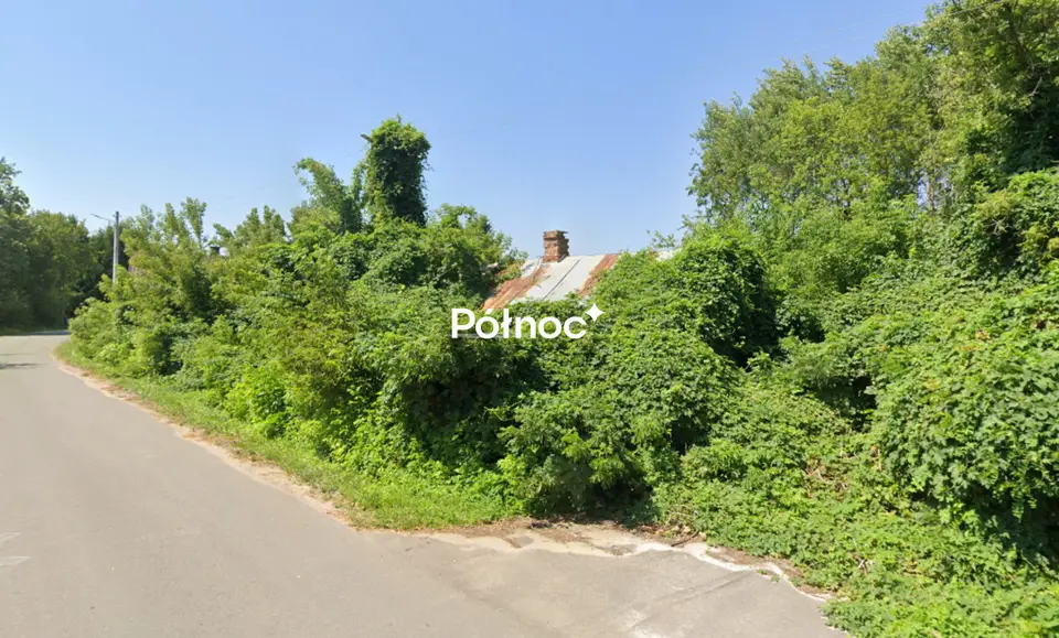 Zdjęcie 6