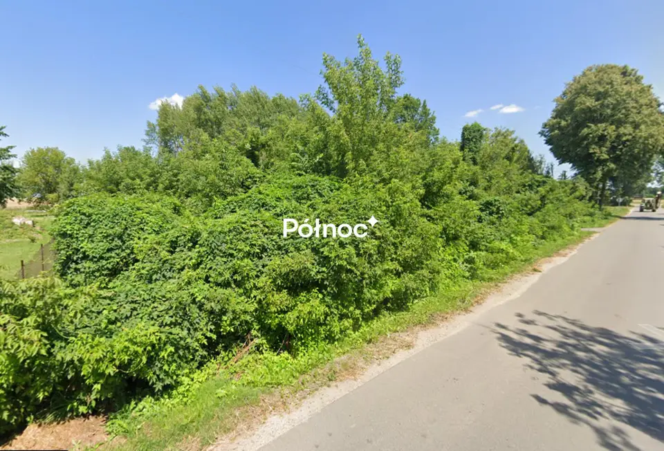 Zdjęcie 7