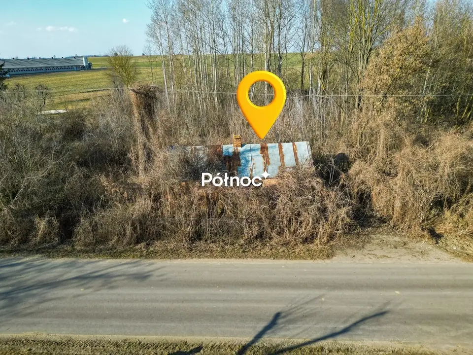 Zdjęcie 8
