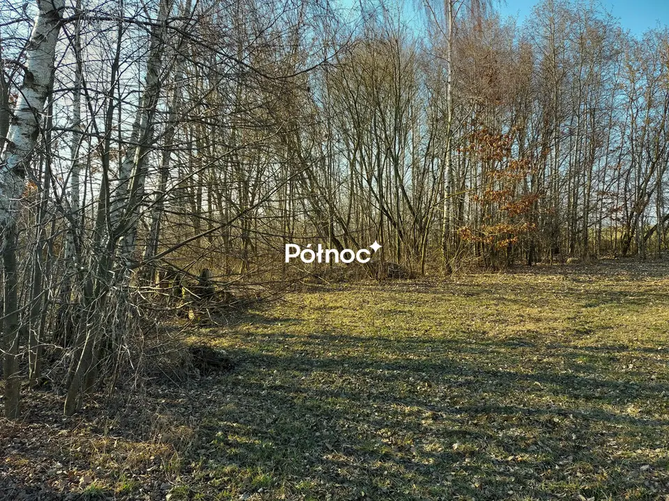 Zdjęcie 10