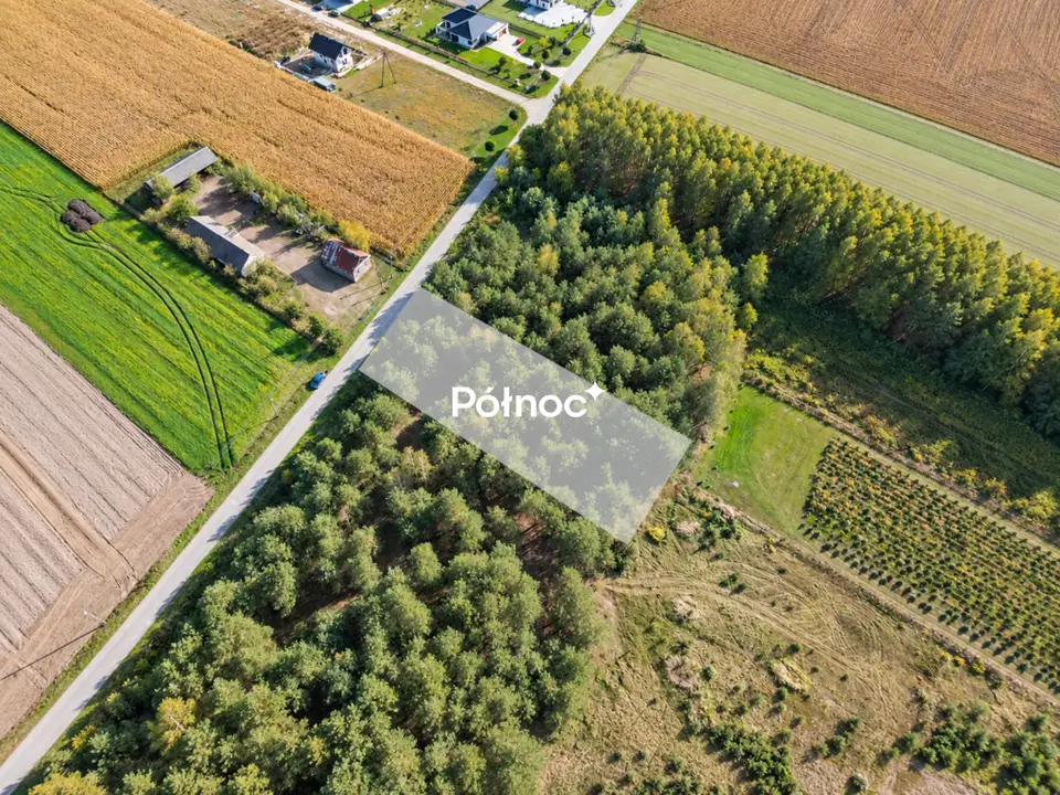 Zdjęcie 6