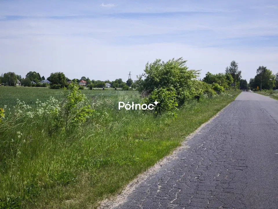 Zdjęcie 5