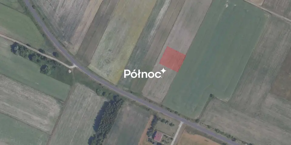 Zdjęcie 7