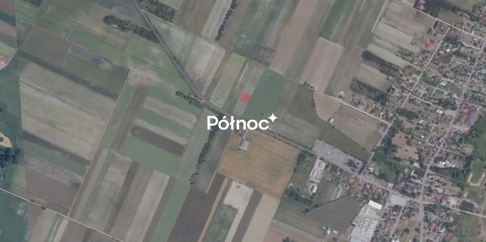 Zdjęcie 8